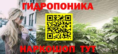 индика Лесосибирск