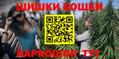 индика Лесосибирск
